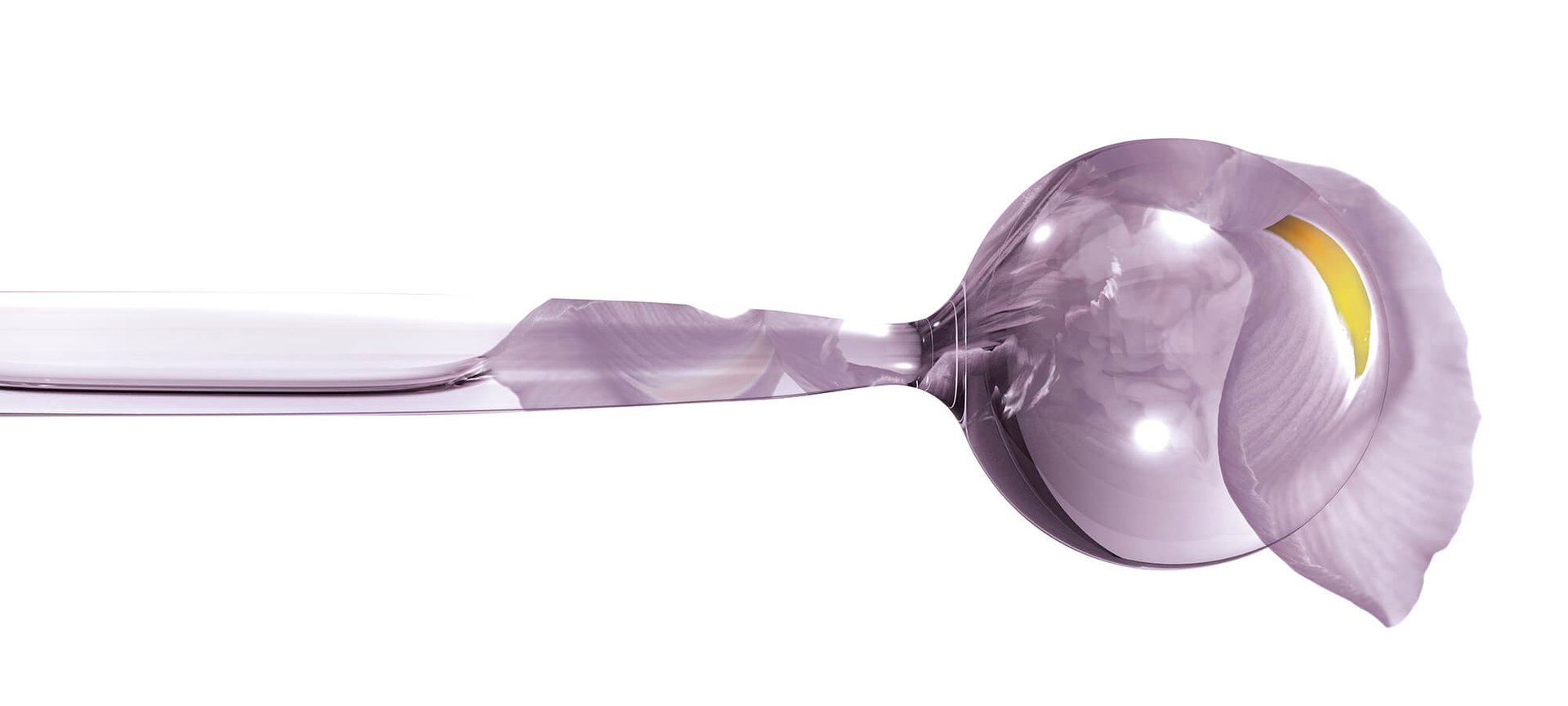 BANNERI LAVANDA 9