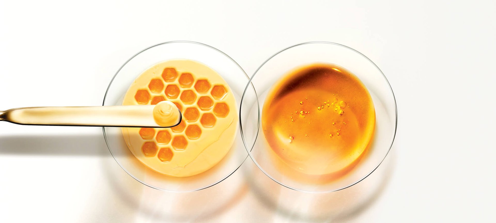 BANNERI MANUKA 2