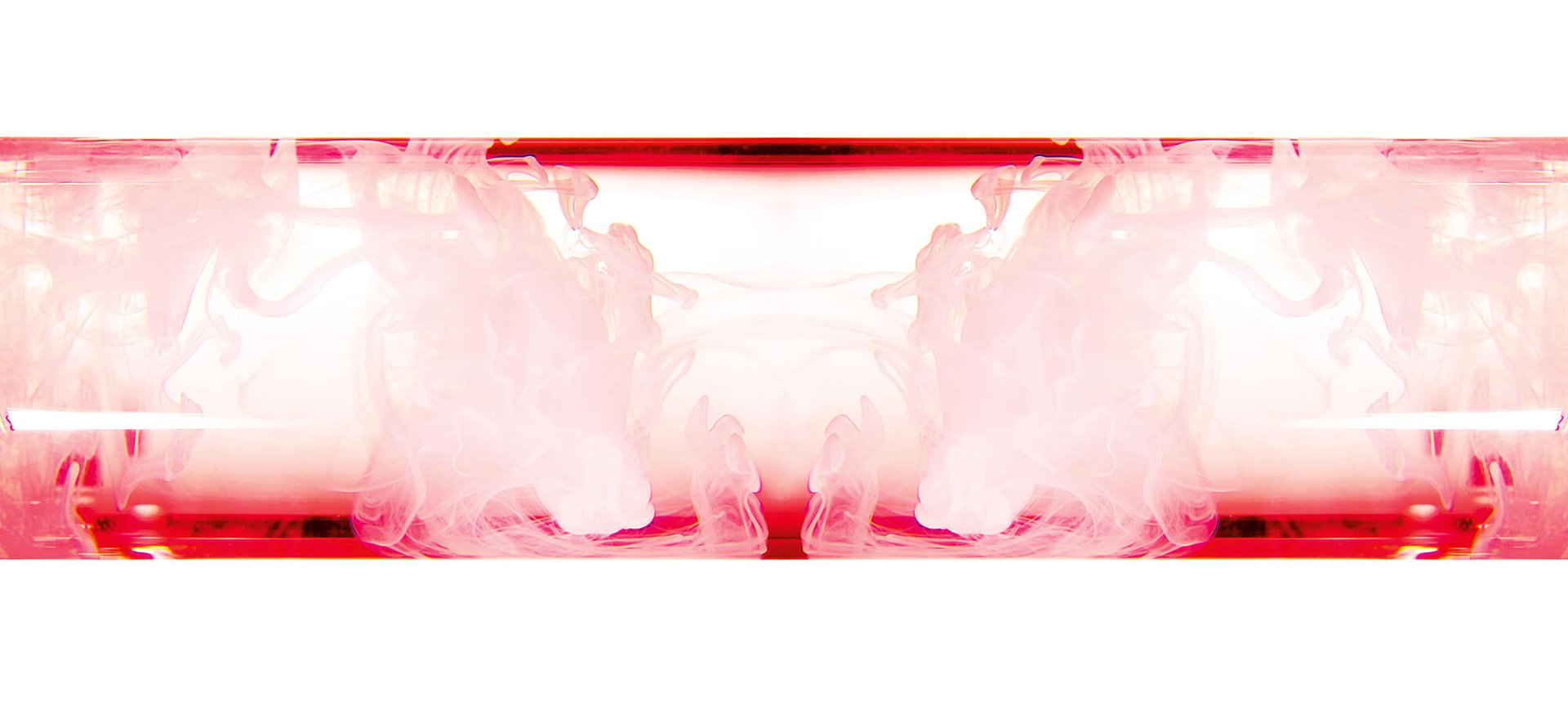 BANNERI PRO XYLANE 6